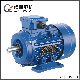 GOST Ie2 Ie3 Premium High Efficiency AC Electric/Electrical Induction Asynchronous Electric Motor Factory Manufacturer