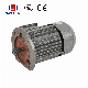  CE Three-Phase Asynchronous Motor, High Temperature Resistant, Noiseless, Customized Power