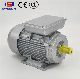  CE Single-Phase Asynchronous Motor Customized Long Axis Power
