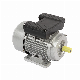  YL Series Single-Phase Motor Fan Agricultural Machinery Vacuum Pump Motor Motor