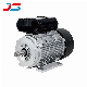  3/4HP Electric Motor 3/4