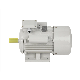 Chinense CE Approved 110V 220V 240V 50Hz 60Hz IP54 B3 B5 B14 Flange Yc Capacitor Start Single Phase Induction Electric Motor Ycl (0.5HP-10HP) 20%