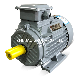  Ye3 Premium High Efficiency Three Phase Induction AC Electric Asynchronous Motor