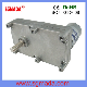  12V 24V DC Geared Motor Spur Gearbox for Food Machine