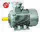  Explosion-proof high-speed three-phase asynchronous motor Electrical Motor