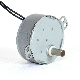  Good Price of  Electrical Synchronous Motor 4W for CCTV Monitor