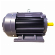  Low Voltage Siemens Electric Three Phase AC Motor with IP55 & IC411