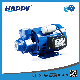 Electric Vortex Single-Stage Presssure Washing Water Electric Pump (CP) manufacturer