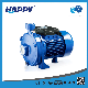  Horizontal 1.1kw Suction Clean Centrifugal Electric Water Electric Pump (HCK)