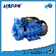 Single-Stage Vortex Centrifugal Electric Water Pump (DK) manufacturer