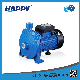  Basic Customization Surface Presssure Electric Centrifugal Water Pump (CPM-2)