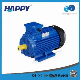  Cast Iron Happy Carton Case CE, ISO9001 Electrical Three-Phase Motor