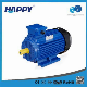 Single-Stage Cast Iron Happy Carton Case Agricultural Pump Three-Phase Motor