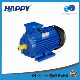 Single-Stage Happy Carton Case CE, ISO9001 Gasoline Water Pump Motor