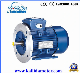  Ms Aluminium Explosion- Proof Electrical Motor Three Phase Induction Motor with 1.1kw
