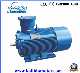 Yb3 Series Explosion Proof Frequency Three-Phase Electric Power Motor Approved CE/Exdi/Atex