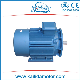 Y2-132m-4 7.5kw Three Phase Electric Motor for Water Pump