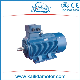  Y2 315kw High Efficiency Machinery Three Phase Induction Asynchronous Motor