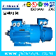  Low Voltage Ball Mill Slip Ring Motor IP54