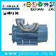  380V 400V 415V 500V 690V Electric Water Pump Motor
