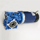High Power 48V 1000W 1500W DC Right Angle Gear Motor