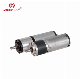 24V 36mm Diameter Brush DC Planetary Gear Motor