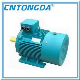 Y2 Series Three Phase Electric Motor Cast Iron Case manufacturer