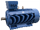 Y2-500 Big Output Three Phase Inducton Motor (380V, 660V, 1140V)
