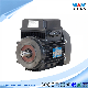  Water Pump Motor Three Phase Electric Motor AC Motor