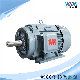  Yzc IEC Ie2 Ie3 0.12~375kw S1 F Low Vibration Low Noise AC Induction Electric 3pH Motor for Accuracy Machine Tools and Precision Instruments Yzc80m1-2 0.75kw
