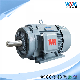 Yzc IEC Ie2 Ie3 0.12~375kw S1 F Low Vibration Low Noise AC Induction Electric 3pH Motor for Accuracy Machine Tools and Precision Instruments Yzc80m1-2 0.75kw