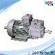  Yzr/Yz IEC Standard 1.5~200kw S2 S3 S4 S5 FC F H AC Induction Electric Double Shaft Motor of Winding Rotor for Cranes and Metallurgical Yz112m-6 1.8kw S2