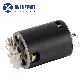 Brush DC Motor for Coffee Machine/Juicer manufacturer