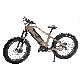  Fat Tire Electric Bikes Adults 26*4.8 Electric Mountain Bike Aluminum Alloy Frame