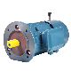  Three Phase Asynchronous AC Electric Brake Motor with Manual Brake Handle