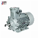  Ex Td A21 IP65 High Efficiency Dust Explosion Proof Three-Phase Asynchronous Motor Beide 1mt0013