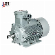 Ex Td A21 IP65 High Efficiency Dust Explosion Proof Three-Phase Asynchronous Motor Beide 1mt0013