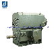  Made in China High Torque 6kv Cage Induction Electric Motor