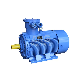  Anti Explosion Proof Electrical Engine High Low Voltage Flameproof China Manufacturer Price AC Electric Motor