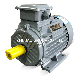 Ie3 High Efficiency Cast Iron Three Phase Induction AC Electric Motor