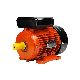 Ml 0.18kw 0.37kw 0.75kw 1.5kw 2.2kw 3kw 3.7kw 4kw Single Phase Asynchronous Induction AC Electric Motor