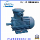 Yb3 Sereis Three Phase Explosion Proof Induction Motors for Water Pump manufacturer