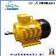 Y2 Series 0.25kw 8p Three Phase Electric Motor with Ce manufacturer