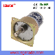  0.58W 12V 1.2-100 Rpm DC Geared Motor for Grill