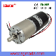 DC Planetary Gear Motor Brushed or Brushless Motor