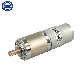  45mm 12V 24V 36V 48V High Torque Low Rpm Brush or Brushless DC Planetary Gear Motor with Encoder Option