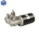  D59 PMDC Brushed Electric Worm Gear Motor with Encoder 12 Volt 24 Volt 30W for Food Processor