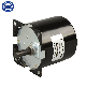 4W AC 220 Volts 110 V Micro Synchronous Motor Low Speed for CATV System