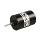 36mm BLDC Brushless Motor 12V 24V with Hall Sensor for Agriculture 6500rpm