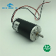  42mm Brush DC Motor Equivalent to Gr42 10W 15W 20W